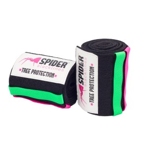 Spider Tree Protection