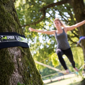 Spider Tree Protection